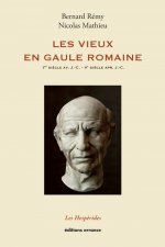 LES VIEUX EN GAULE ROMAINE