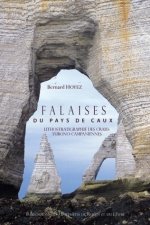 Falaises du pays de Caux - lithostratigraphie des craies turono-campaniennes