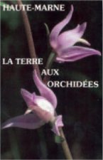 La terre aux orchidees - haute-marne