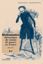 DICTIONNAIRE THEMATIQUE DU ROMAN DE MOEURS EN FRANCE (1814-1914)