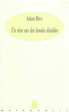 Un Reve Sur Des Landes Desolees