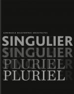 Singulier pluriel. Geninasca Delefortrie architectes