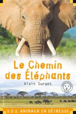 LE CHEMIN DES ELEPHANTS