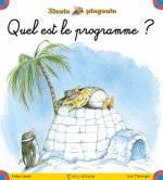 Zinzin pingouin - numéro 1 Quel est le programme ?