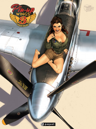 Pin-Up Wings T3
