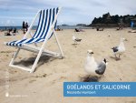 GOELANDS ET SALICORNE