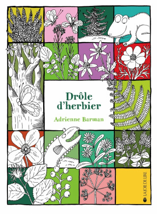 DROLE D'HERBIER (Adrienne BARMAN)(Kniha)