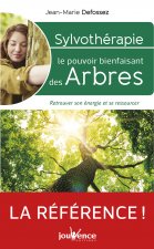 Sylvothérapie : Le pouvoir bienfaisant des arbres