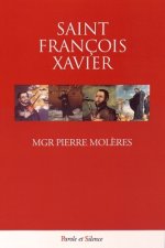 Saint francois xavier