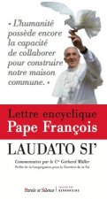 Lettre encyclique pape francois laudato si