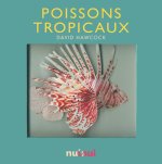 Poissons tropicaux