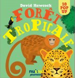 Saisissants pop-up - Forêt tropicale