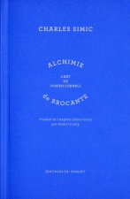 Alchimie de brocante - l'art de Joseph Cornell