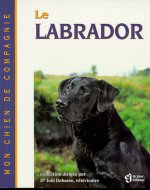 Le labrador