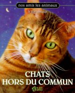CHATS HORS DU COMMUN