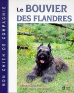 BOUVIER DES FLANDRES