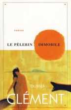 PELERIN IMMOBILE