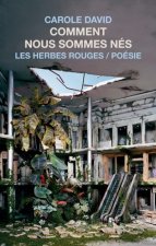 COMMENT NOUS SOMMES NES