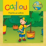 Caillou plante un arbre