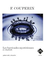 LES BARRICADES MYSTERIEUSES GUITARE