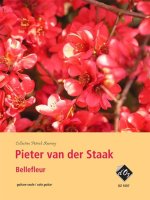 BELLEFLEUR GUITARE