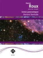 SCENES PANORAMIQUES - AURORE BOREALE GUITARE