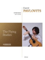 THE FLYING STUDIES GUITARE
