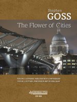 THE FLOWER OF CITIES -PARTITION+PARTIES SEPAREES