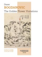THE GOLDEN FLOWER VISITATIONS