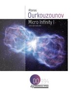MICRO INFINITY I VIOLON