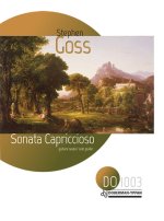 SONATA CAPRICCIOSO GUITARE