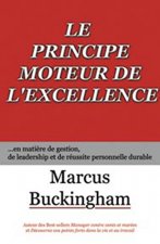Principe moteur de l'excellence