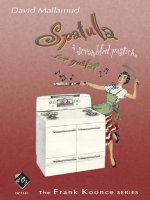 SPATULA (A SCRAMBLED PASTICHE) GUITARE