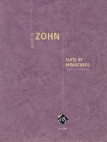 SUITE OF MINIATURES GUITARE