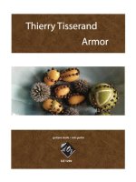 ARMOR GUITARE