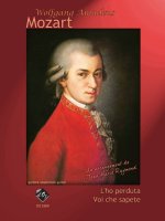 L'HO PERDUTA / VOI CHE SAPETE GUITARE