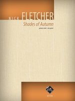 SHADES OF AUTUMN GUITARE