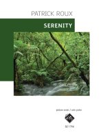 SERENITY GUITARE