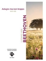 ADAGIO MA NON TROPPO 43B