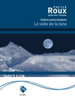 LA VALLE DE LA LUNA GUITARE