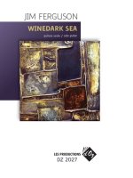 WINEDARK SEA GUITARE