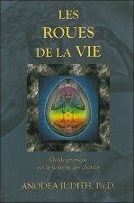 Le feu de la vengeance - Les enfants d'un autre ciel T1