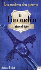 Turondin - Prince d'épée - Les maîtres des pierres T3