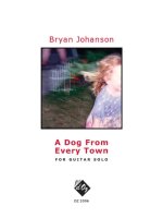 A DOG FROM EVERY TOWN GUITARE