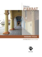 HABANA VIEJA GUITARE