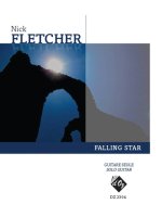 FALLING STAR GUITARE