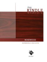ROSEWOOD GUITARE