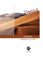 TOUAREG GUITARE