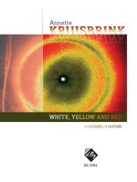 WHITE, YELLOW AND RED -PARTITION+PARTIES SEPAREES