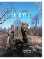IRMINSUL